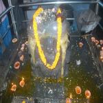 Vraj-Yatra-2014- (235)